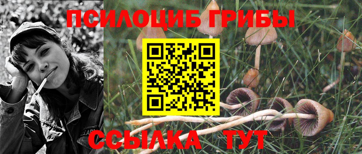 Галлюциногенные грибы GOLDEN TEACHER Димитровград