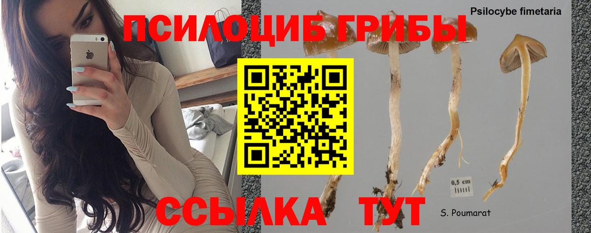 Димитровград  Галлюциногенные грибы ЛСД  купить   Вход с VPN 